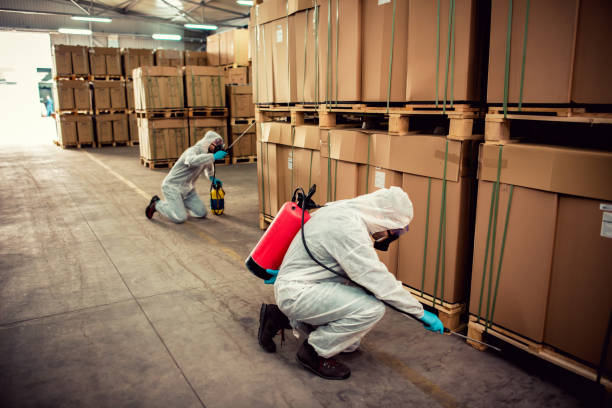 Best Emergency Pest Control  in Appleton, MN