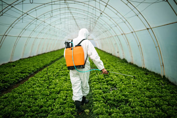 Best Affordable Pest Control Services  in Appleton, MN
