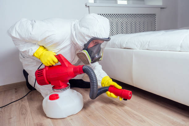 Best Residential Pest Control  in Appleton, MN