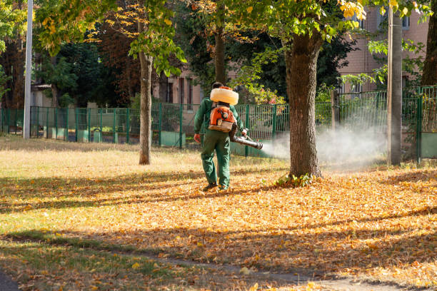 Best Local Pest Control Services  in Appleton, MN