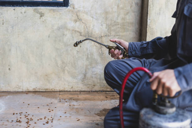 Best Pest Control Treatment  in Appleton, MN